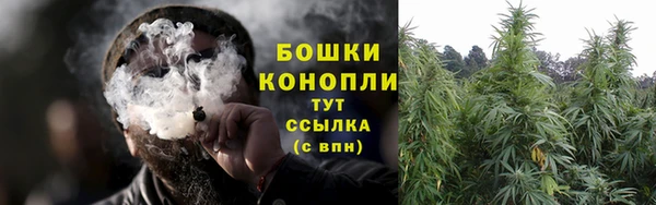 шишки Алзамай