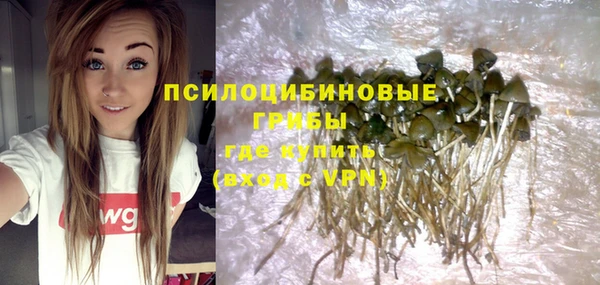 дурь Алексеевка