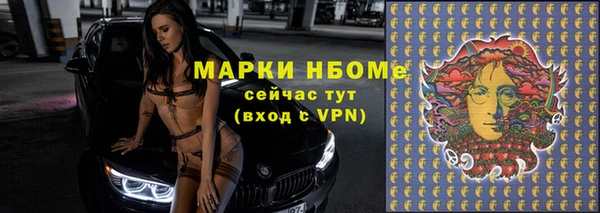 шишки Алзамай
