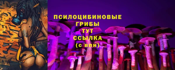 mix Алексин