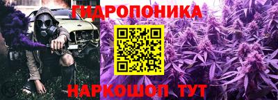 сатива Гай