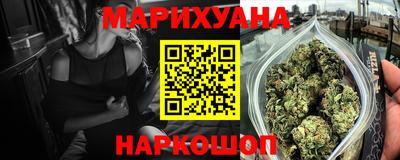 сатива Гай
