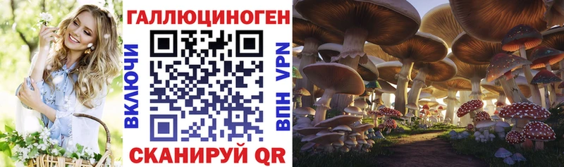 Псилоцибиновые грибы MAGIC MUSHROOMS  где найти   Новоалтайск 