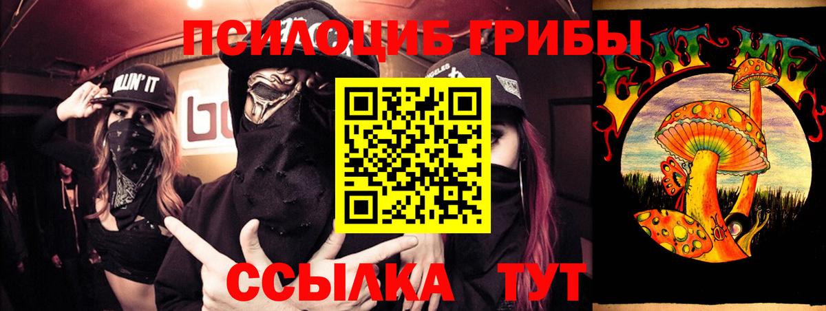 Псилоцибиновые грибы MAGIC MUSHROOMS Новоалтайск