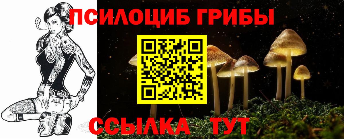 Псилоцибиновые грибы GOLDEN TEACHER  Псилоцибиновые грибы Psilocybine cubensis  Вход с VPN  где можно купить наркотик  Новоалтайск 